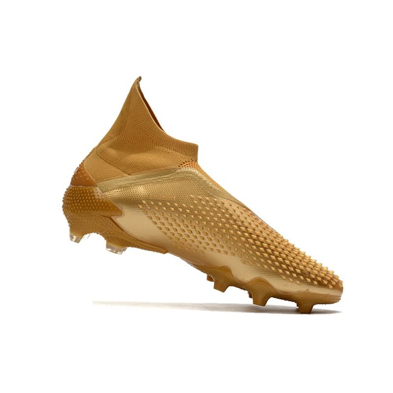 طائر باستمرار مقابل predator doradas - saishaindia.com
