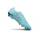 Botas Nike Tiempo Legend 10 Elite FG Copa Plateado