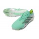 Botas de Fútbol Adidas Predator Elite Low FG Verde Plateado
