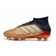 Botas y Zapatillas de Fútbol adidas Predator 19.1 FG - Oro Plata Rojo