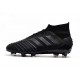 Botas y Zapatillas de Fútbol adidas Predator 19.1 FG - Negro